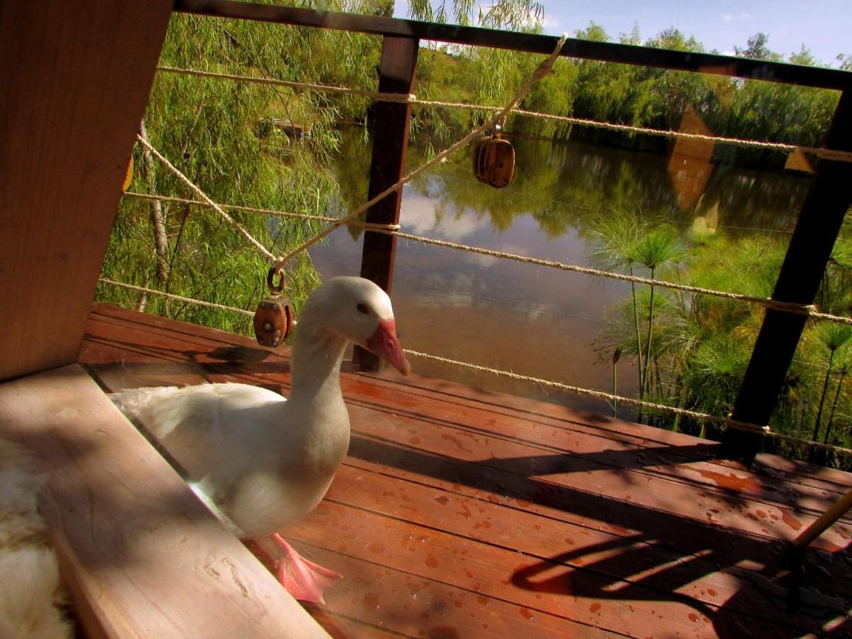 Glamping Cantabria Tunja Exterior photo